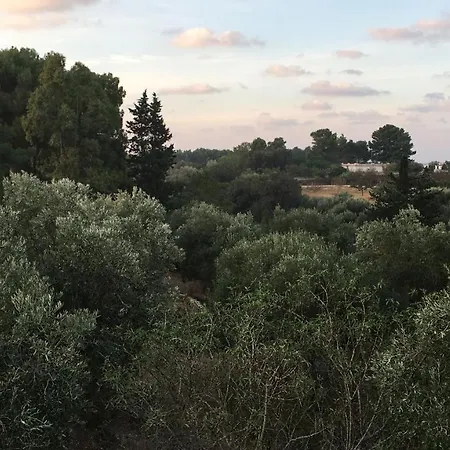 Riserva Ancelle