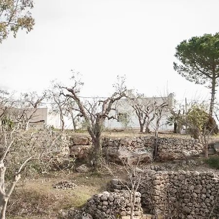 Riserva Ancelle