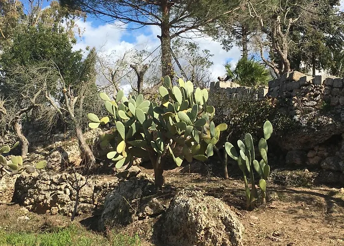 Nyaraló Riserva Ancelle *