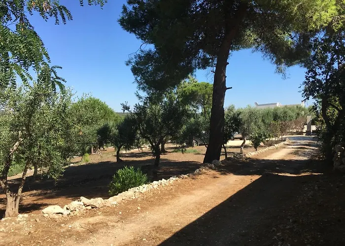 Nyaraló Riserva Ancelle