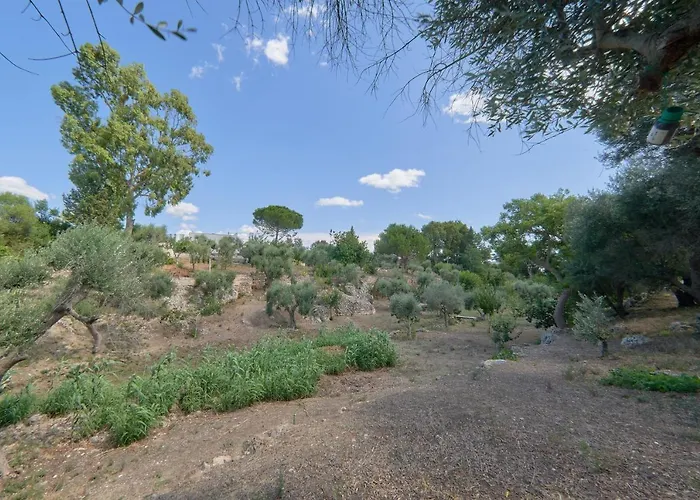 Riserva Ancelle Nyaraló *