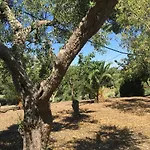 Riserva Ancelle * San Pietro in Bevagna