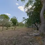 Riserva Ancelle * San Pietro in Bevagna