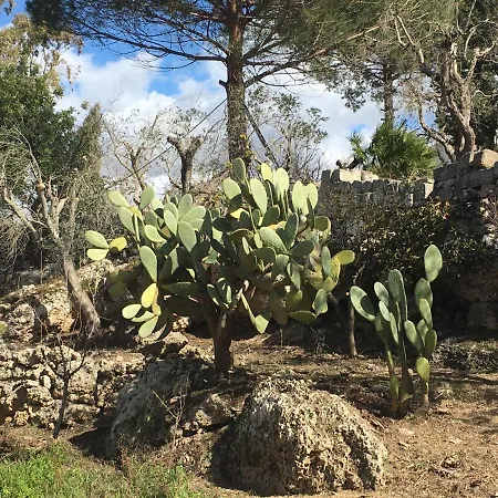 Hébergement de vacances Riserva Ancelle *